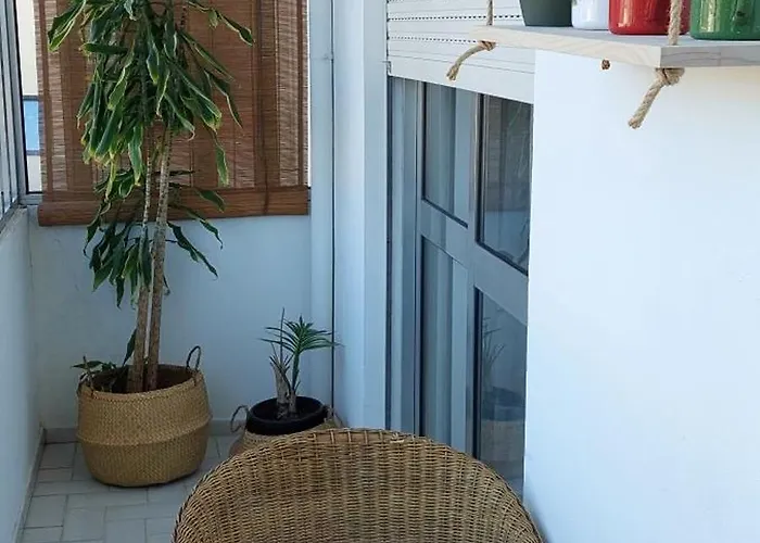 Cedofeita 408, Green